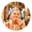Nancy C.
